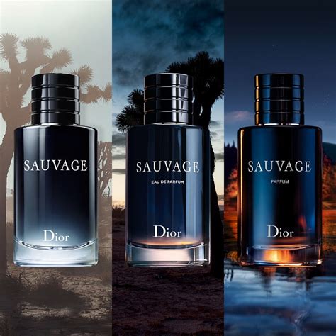 coffret dior sauvage homme|sauvage dior for men reviews.